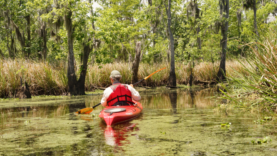 Der ehemalige Literaturprofessor John Hazlett organisiert Kajaktouren durch die Bayous