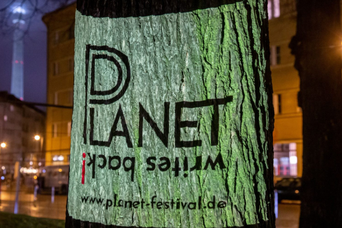 Das Festivalvisual auf einen Baum projiziert. Foto by Jan Michalko